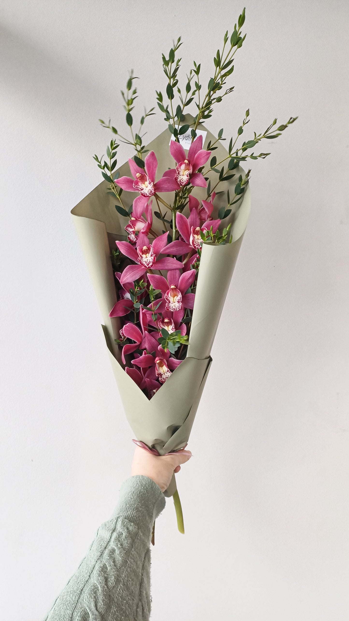 Cymbidium (orchidėjos) žavesys
