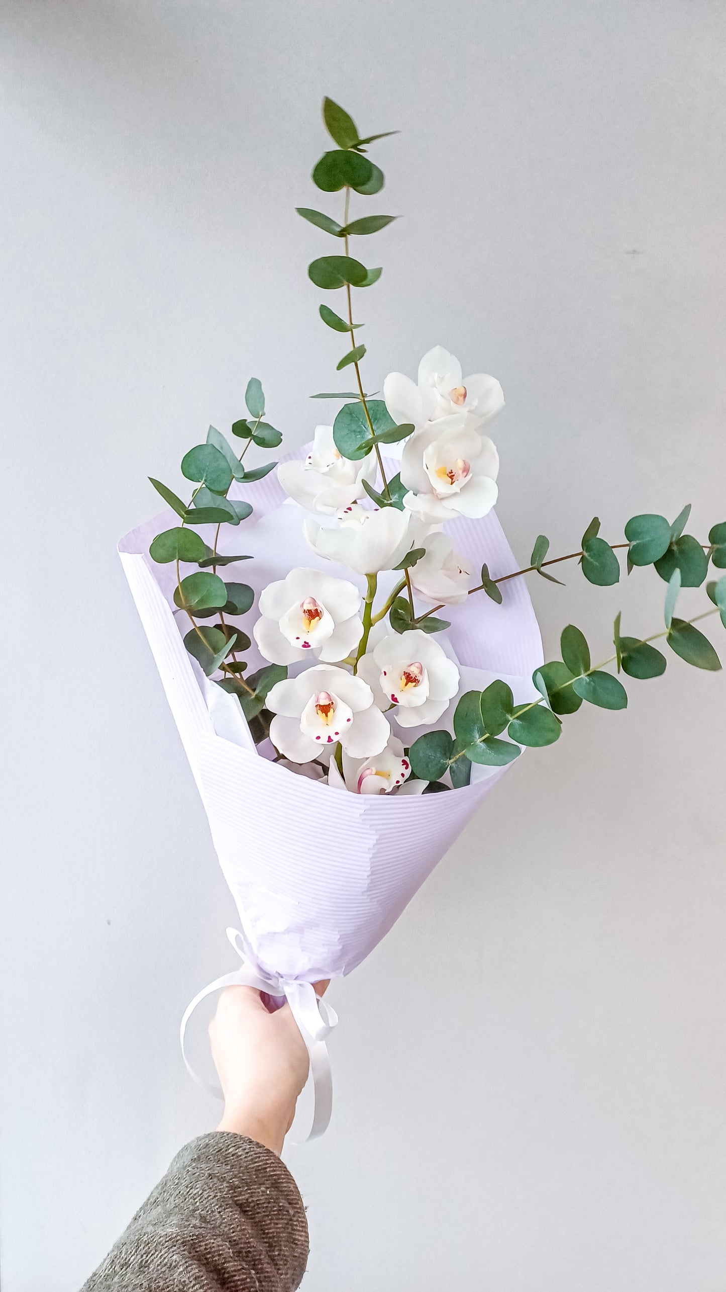Cymbidium (orchidėjos) žavesys